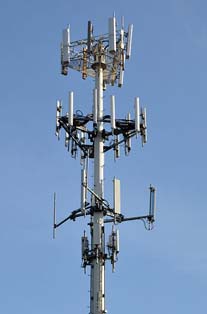 cell