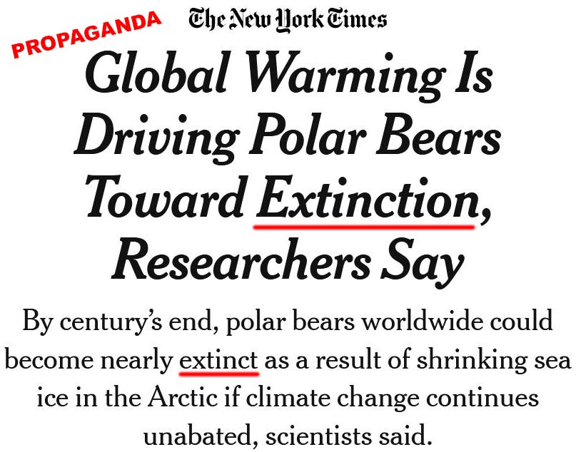 polar-bears